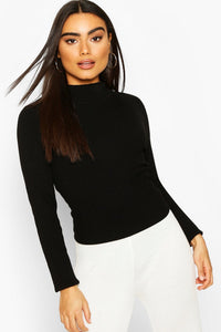Rib Knit Turtle Neck