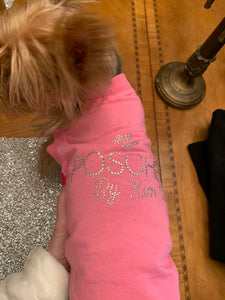 Posche Doggy Wear